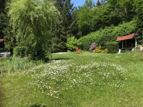 Liegewiese und Garten im Hotel Barbara Fichtelgebirge