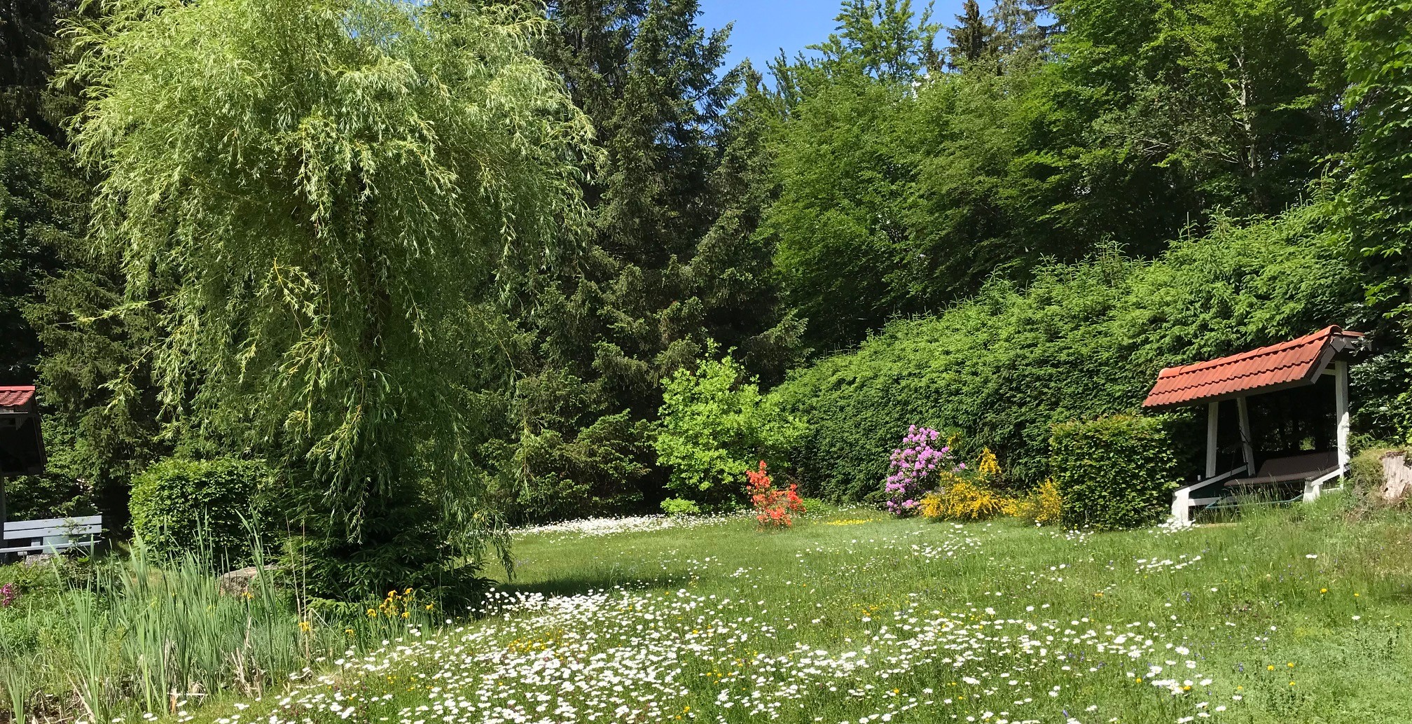 Sommer im Fichtelgebirge