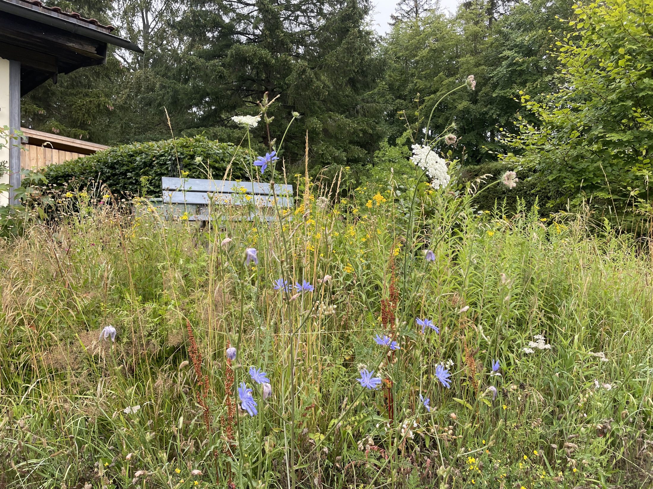 Rastplatz im Garten vom Hotel Barbara