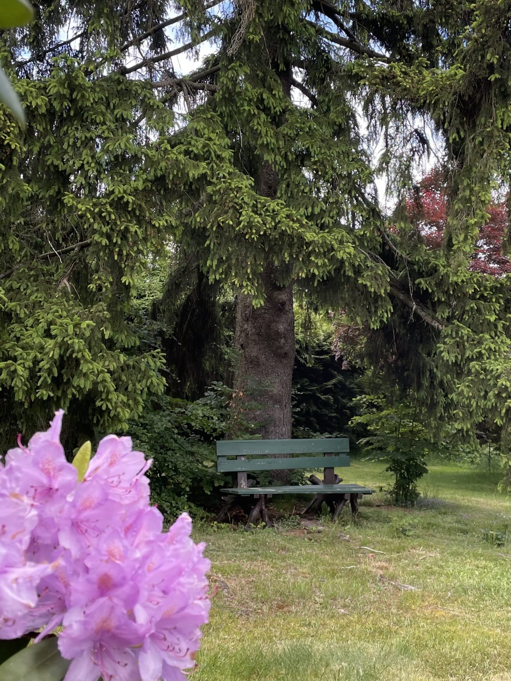 Rastplatz im Garten